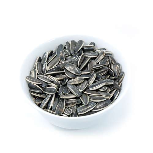 Sunflower Hybrid Seed PATCO