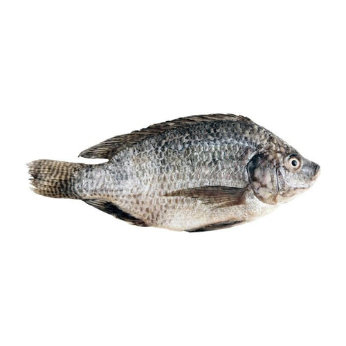 Tilapia Raw Fish (1kg) – PATCO